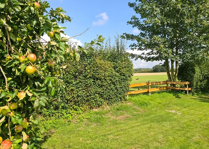 公寓 Reethaus - Midgard